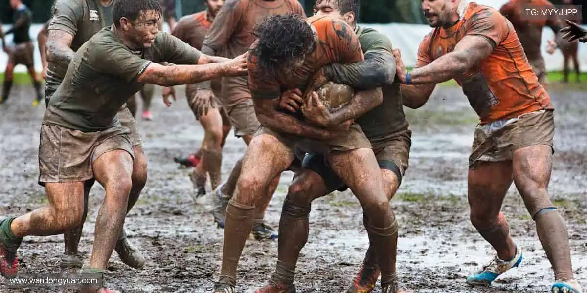 📺 实时解说,带你沉浸式感受赛场心跳!