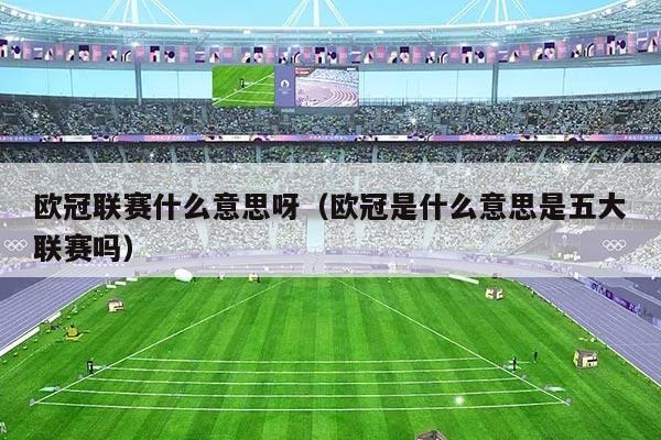欧冠联赛什么意思呀(欧冠是什么意思是五大联赛吗)