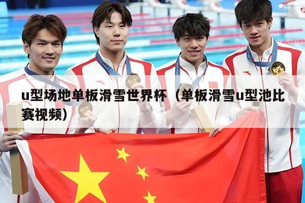 u型场地单板滑雪世界杯(单板滑雪u型池比赛视频)