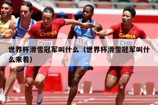 世界杯滑雪冠军叫什么(世界杯滑雪冠军叫什么来着)