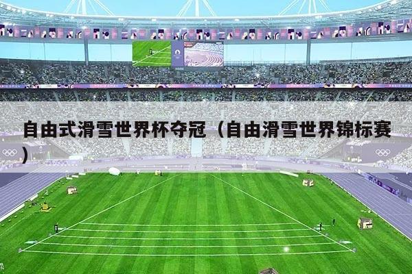 自由式滑雪世界杯夺冠(自由滑雪世界锦标赛)
