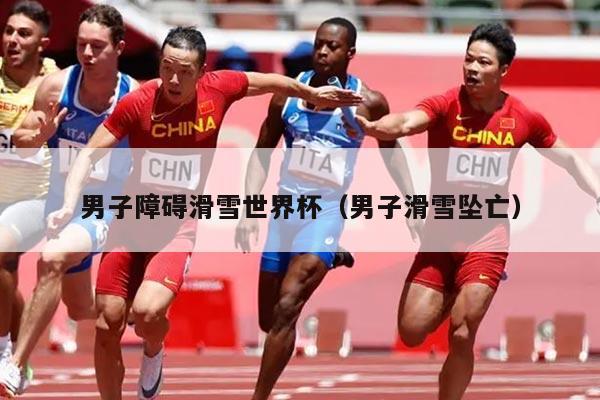男子障碍滑雪世界杯（男子滑雪坠亡）
