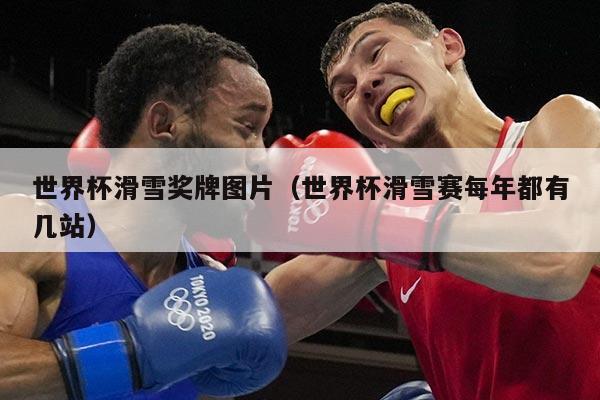 世界杯滑雪奖牌图片(世界杯滑雪赛每年都有几站)