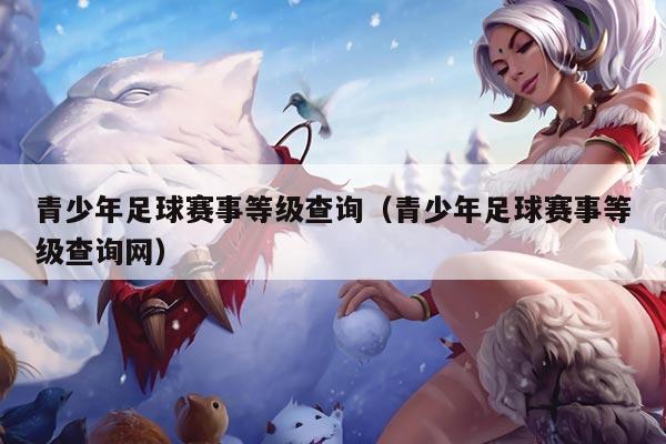 青少年足球赛事等级查询(青少年足球赛事等级查询网)
