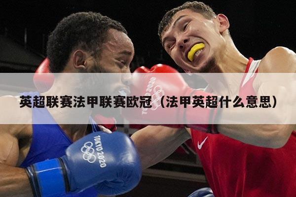 英超联赛法甲联赛欧冠（法甲英超什么意思）