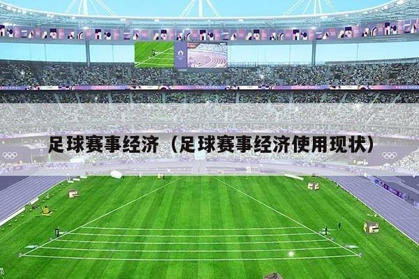 足球赛事经济（足球赛事经济使用现状）