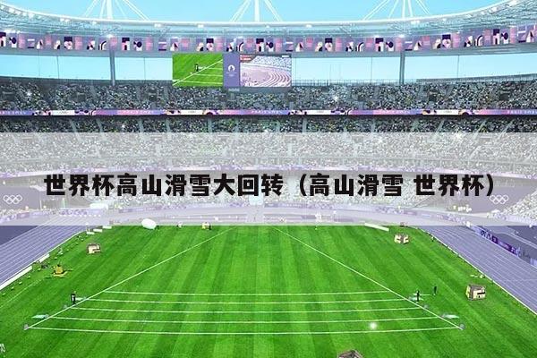 世界杯高山滑雪大回转（高山滑雪 世界杯）