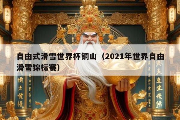 自由式滑雪世界杯铜山（2021年世界自由滑雪锦标赛）
