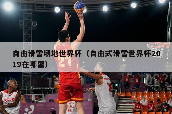 自由滑雪场地世界杯（自由式滑雪世界杯2019在哪里）