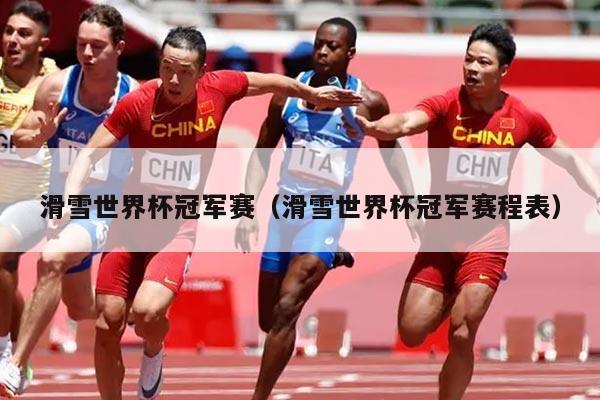 滑雪世界杯冠军赛（滑雪世界杯冠军赛程表）