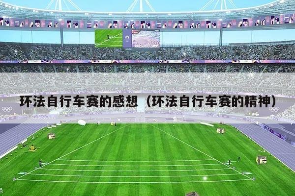 环法自行车赛的感想(环法自行车赛的精神)