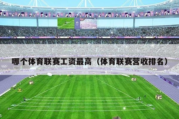 哪个体育联赛工资最高（体育联赛营收排名）
