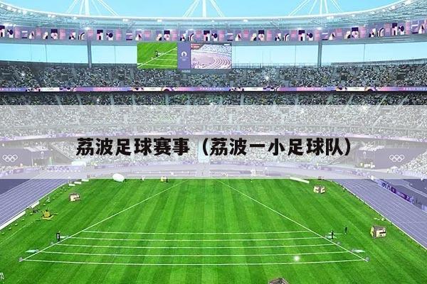 荔波足球赛事（荔波一小足球队）