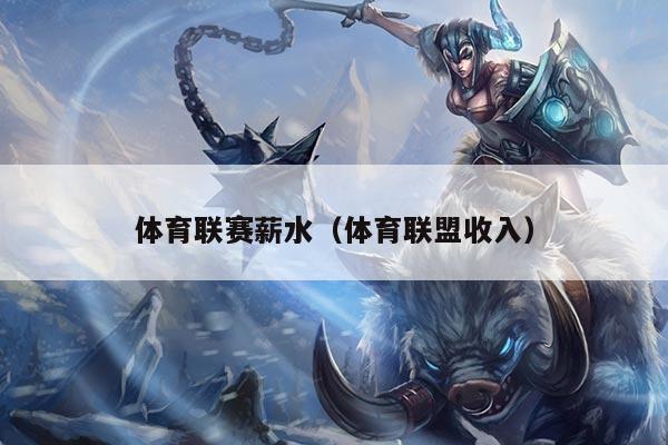 体育联赛薪水（体育联盟收入）