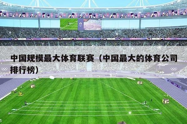 中国规模最大体育联赛（中国最大的体育公司排行榜）