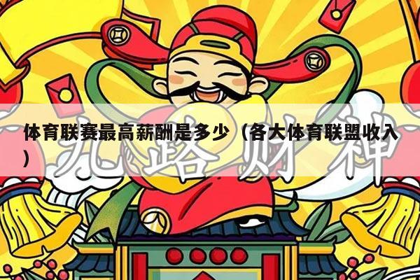 体育联赛最高薪酬是多少(各大体育联盟收入)