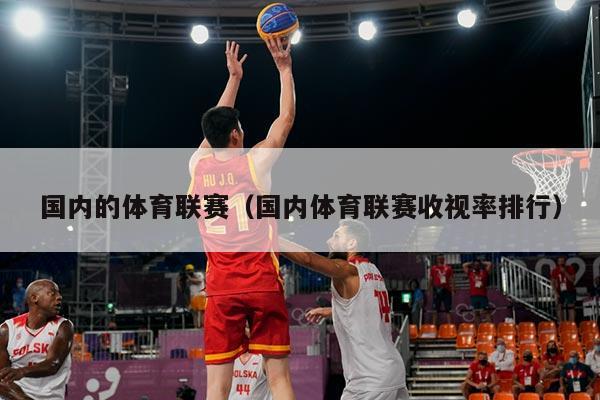 国内的体育联赛（国内体育联赛收视率排行）