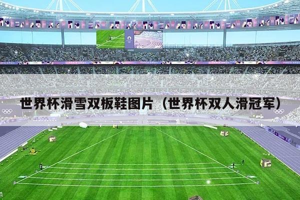 世界杯滑雪双板鞋图片（世界杯双人滑冠军）