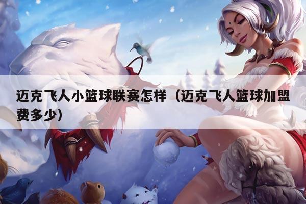 迈克飞人小篮球联赛怎样（迈克飞人篮球加盟费多少）