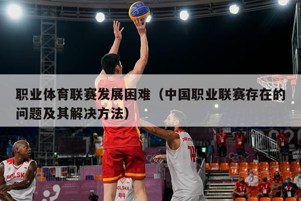 职业体育联赛发展困难（中国职业联赛存在的问题及其解决方法）