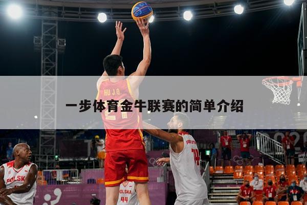一步体育金牛联赛的简单介绍