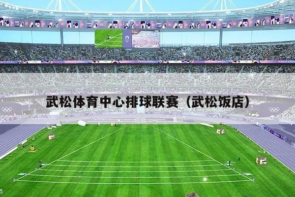 武松体育中心排球联赛（武松饭店）