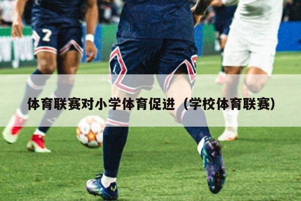 体育联赛对小学体育促进（学校体育联赛）